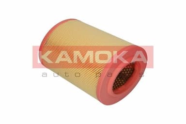 Gaisa filtrs KAMOKA F213901 2