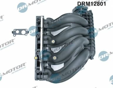 Ieplūdes caurules modulis Dr.Motor Automotive DRM12801 1