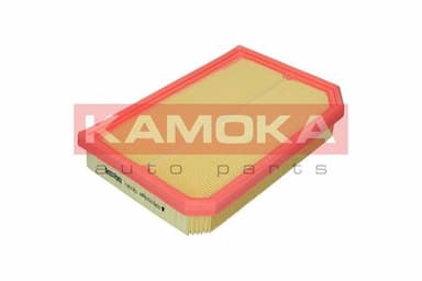 Gaisa filtrs KAMOKA F257201 3