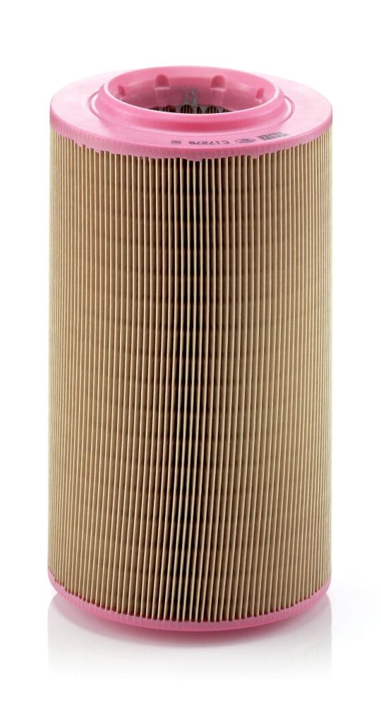 Gaisa filtrs MANN-FILTER C 17 278 1