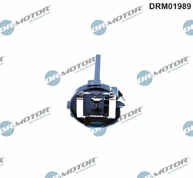 Spuldzes patrona, Pamatlukturis Dr.Motor Automotive DRM01989 1