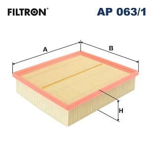 Gaisa filtrs FILTRON AP 063/1 1