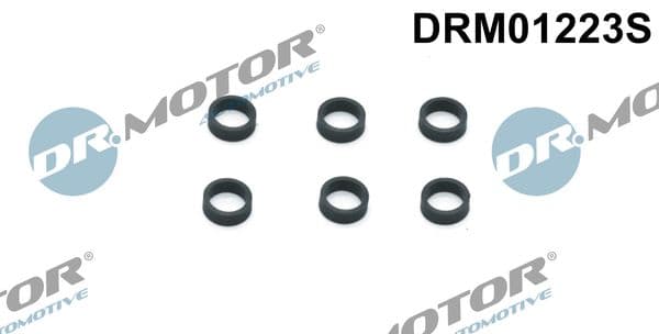 Blīvgredzens, Iesmidzināšanas sprausla Dr.Motor Automotive DRM01223S 1