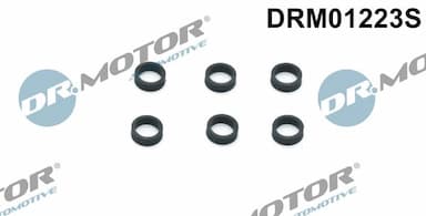 Blīvgredzens, Iesmidzināšanas sprausla Dr.Motor Automotive DRM01223S 1