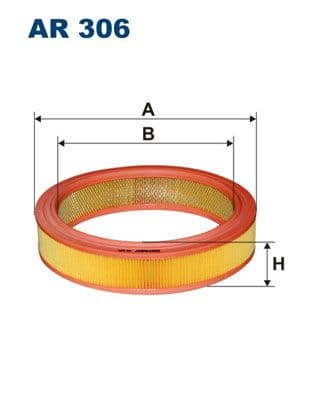 Gaisa filtrs FILTRON AR 306 1