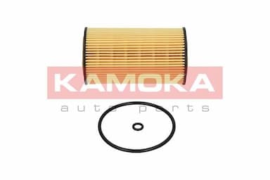 Eļļas filtrs KAMOKA F102101 2