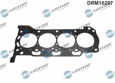 Blīve, Motora bloka galva Dr.Motor Automotive DRM10207 1