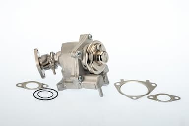 Izpl. gāzu recirkulācijas vārsts BorgWarner (Wahler) 7631D/1 1