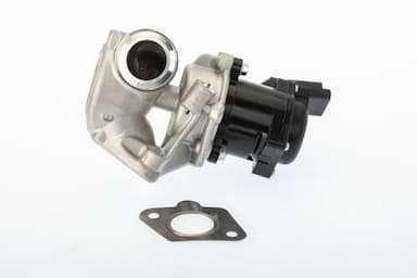 Izpl. gāzu recirkulācijas vārsts BorgWarner (Wahler) 710929D 1