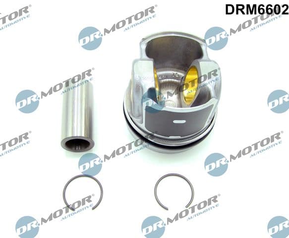 Motora daļa Dr.Motor Automotive DRM6602 1