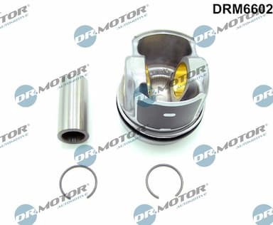 Motora daļa Dr.Motor Automotive DRM6602 1