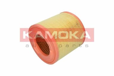 Gaisa filtrs KAMOKA F253301 4