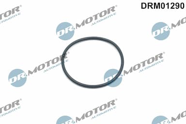 Blīvgredzens, Piedziņas ķēdes spriegotājs Dr.Motor Automotive DRM01290 1