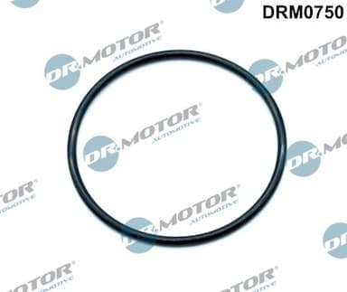 Blīve, Droseļvārsta īscaurule Dr.Motor Automotive DRM0750 1