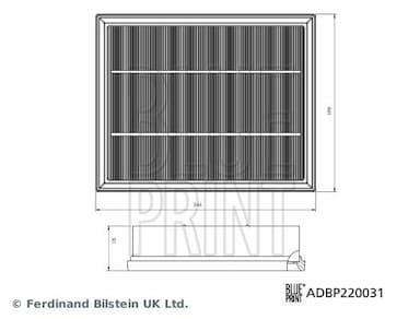 Gaisa filtrs BLUE PRINT ADBP220031 2