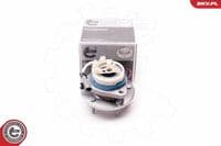 Riteņa rumbas gultņa komplekts