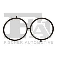 Blīve, Ieplūdes kolektors