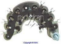 Taisngriezis, Ģenerators