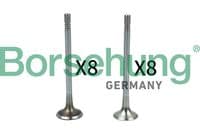 Vārstu komplekts, ieplūdes/izplūdes vārsts