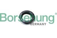 Ritgultnis, Amortizatora statnes balsts