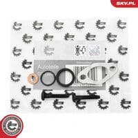 Kronšteins, Iesmidzinašanas sprausla