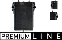 Radiators, Motora dzesēšanas sistēma