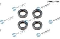 Blīvgredzens, Sveces kanāls