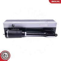 Pneimoatsperes statnis