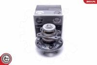 Riteņa rumbas gultņa komplekts