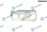 Blīve, Izplūdes kolektors