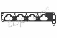 Blīve, Ieplūdes kolektors