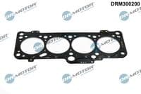 Blīve, Motora bloka galva