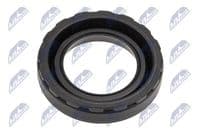 Blīvgredzens, Sveces kanāls