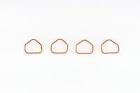 Blīve, Ieplūdes kolektors