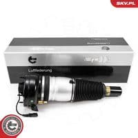 Pneimoatsperes statnis