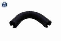 Šļūtene, Kartera ventilācija