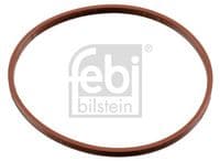 Blīvgredzens, droseļvārsta īscaurule