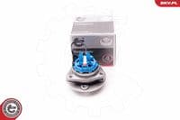 Riteņa rumbas gultņa komplekts