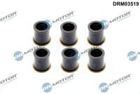 Blīve, Sprauslas korpuss