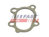 Blīve, Izplūdes caurule