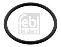 Blīve, Termostata korpuss