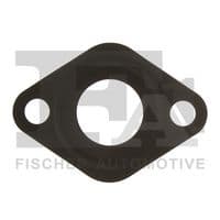 Blīve, EGR vārsta cauruļvads