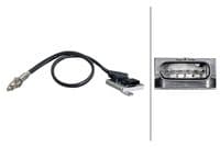 NOx-devējs, NOx-katalizators