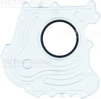 Vārpstas blīvgredzens, Kloķvārpsta