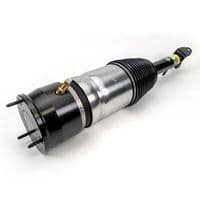 Pneimoatsperes statnis