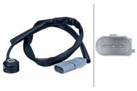 Detonācijas devējs