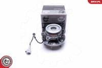 Riteņa rumbas gultņa komplekts