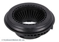 Ritgultnis, Amortizatora statnes balsts