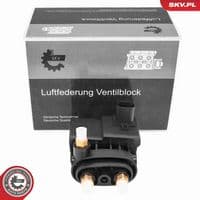 Vārsts, Pneimatiskā sistēma