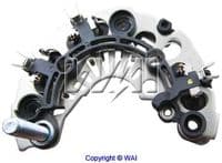 Taisngriezis, Ģenerators